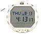 Watch LCD Module for Casio DW-D5600P Watch Models