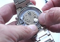 Screw back watch case